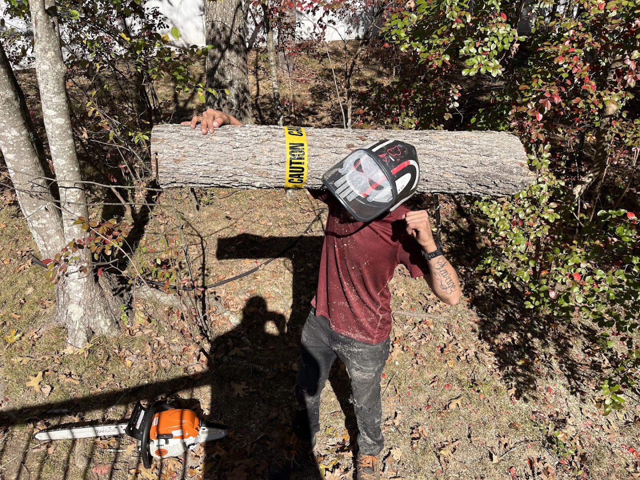 A large trunk sectioned on the ground, ready to be hauled away