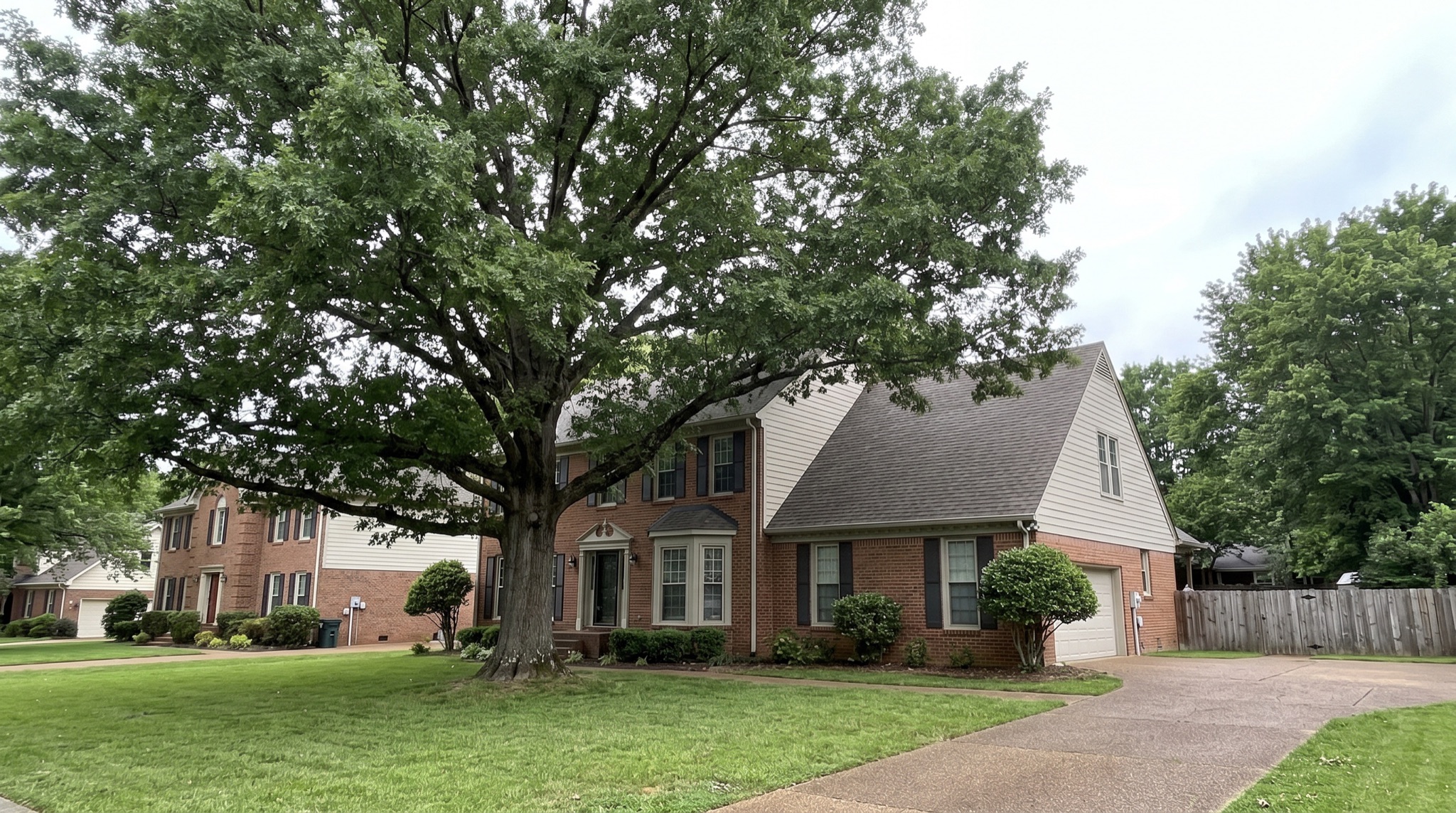 A large mature oak shading the front yard of a classic Tennessee brick home