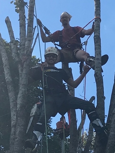 Rob on the ground with his ladders and gear at a job site